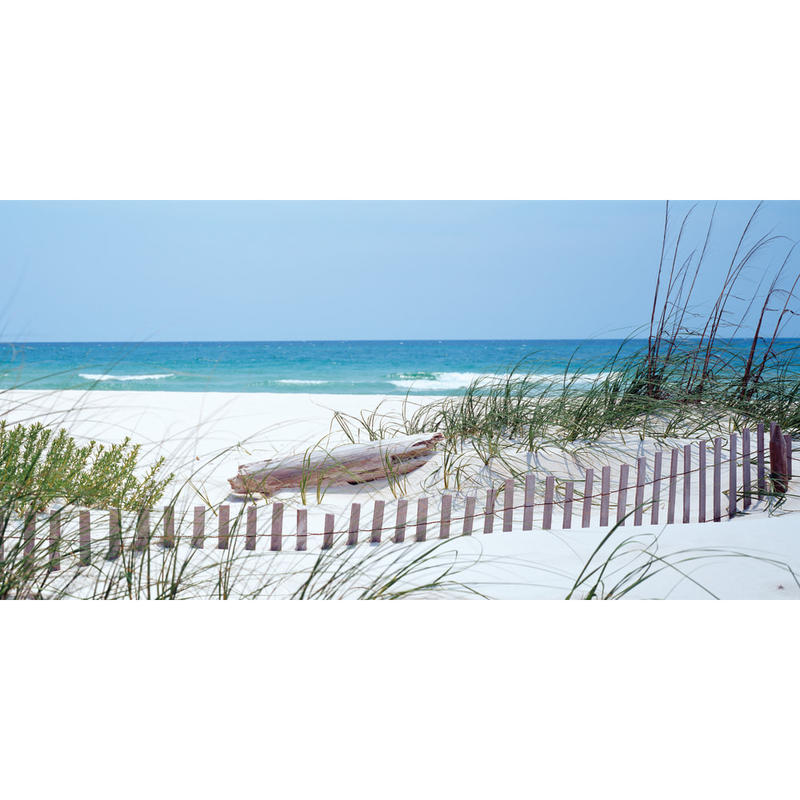 Biggies Wall Mural, 40in x 80in, Carolina Coast MPN:WM-SCT-80