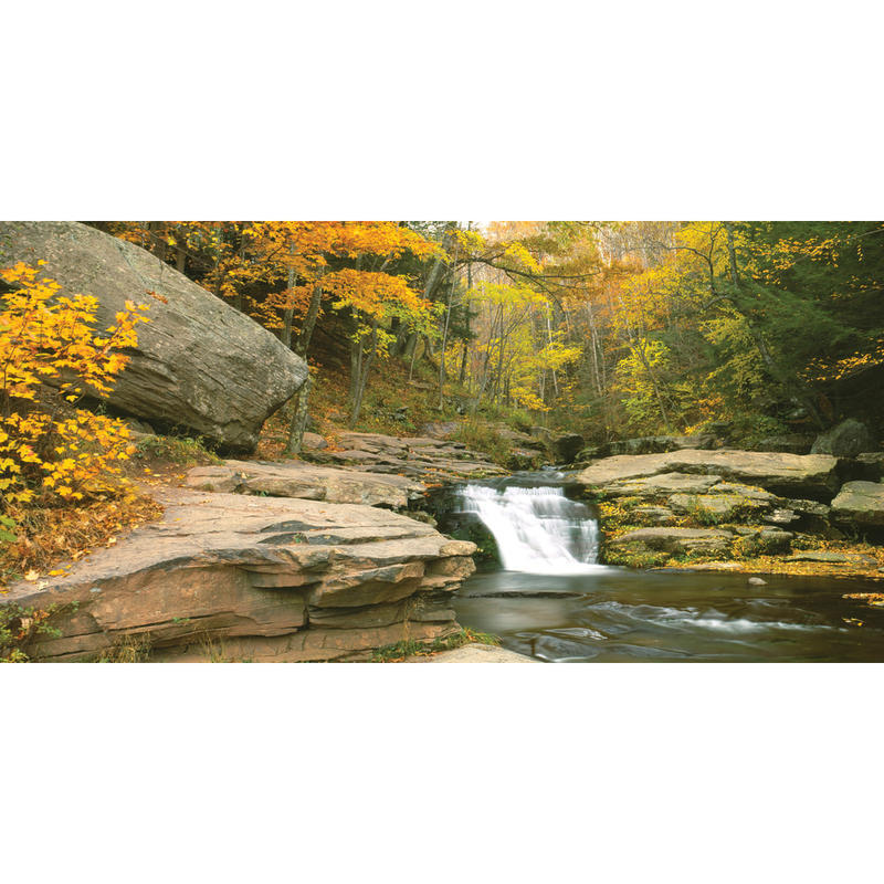Biggies Wall Mural, 27in x 54in, Stream MPN:WM-STM-54
