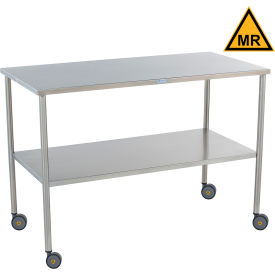 Blickman MR Howard Stainless Steel Mobile Instrument Table 72 x 24
