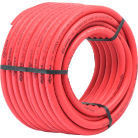 Avagard® Rubber Air Hose Assembly 3/8