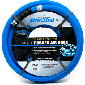 BluBird® Pro Rubber Air Hose Assembly 3/8