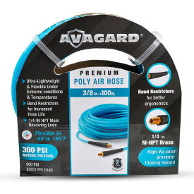 BluBird® Poly Air Hose Assembly 3/8