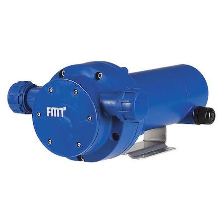 Electric Operated Tote Pump, 12VDC, 60 Hz MPN:DEFTP12VP