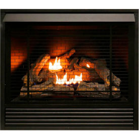 Duluth Forge Dual Fuel Ventless Gas Fireplace Insert 32000 BTU Remote Control FDI32R FDI32R
