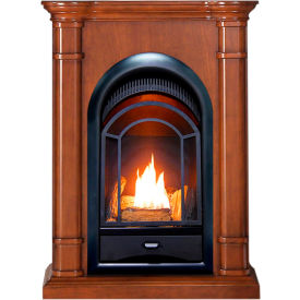 ProCom Dual Fuel Ventless Gas Fireplace System 10000 BTU T-Stat Control Apple Spice FS100T-3AS FS100T-3AS