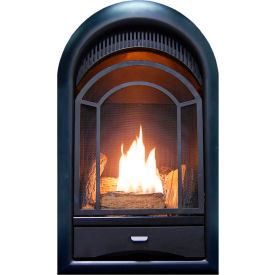 ProCom Dual Fuel Ventless Gas Fireplace Insert Arched Door 10000 BTU T-Stat Control PCS100T