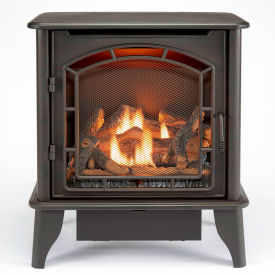 Bluegrass Living Panorama Vent Free Dual Fuel Gas Stove 23000 BTU Thermostat Control Black BTSD23RT