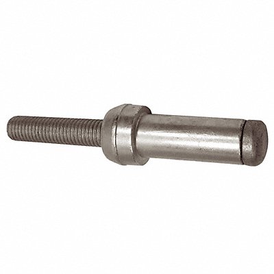 Example of GoVets Bom brand