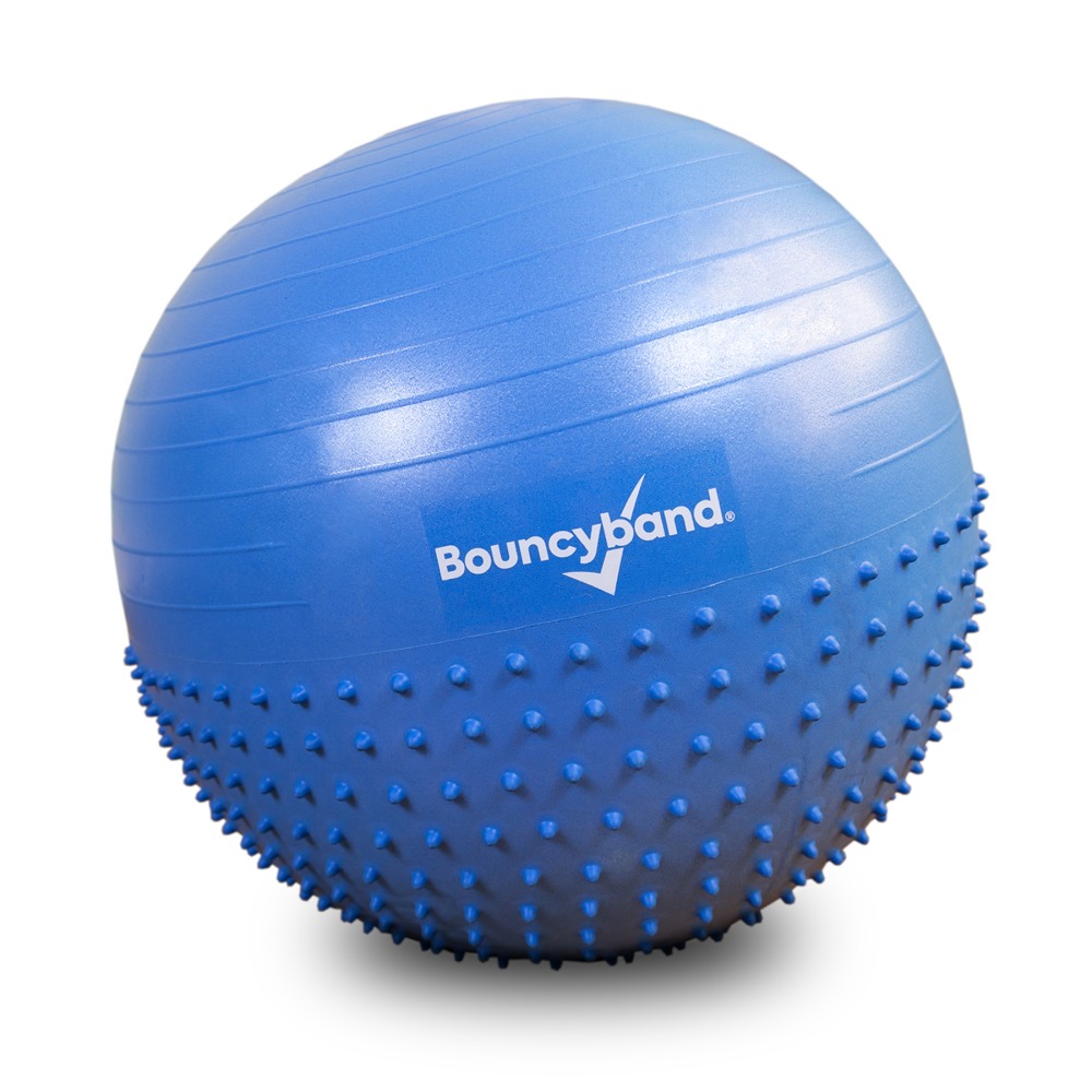 Example of GoVets Bouncy Bands ct brand