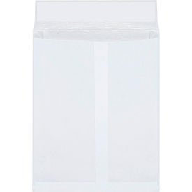 Ship-Lite® Expandable Envelopes 10