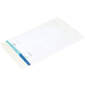 Ship-Lite® Flat Envelopes 9