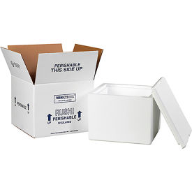 Reusable & Recyclable Insulated Shipping Kit 9-1/2
