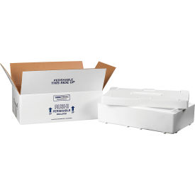Foam Insulated Shipping Kit 19-1/2