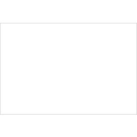 Tape Logic® Rectangular Inventory Paper Labels 3