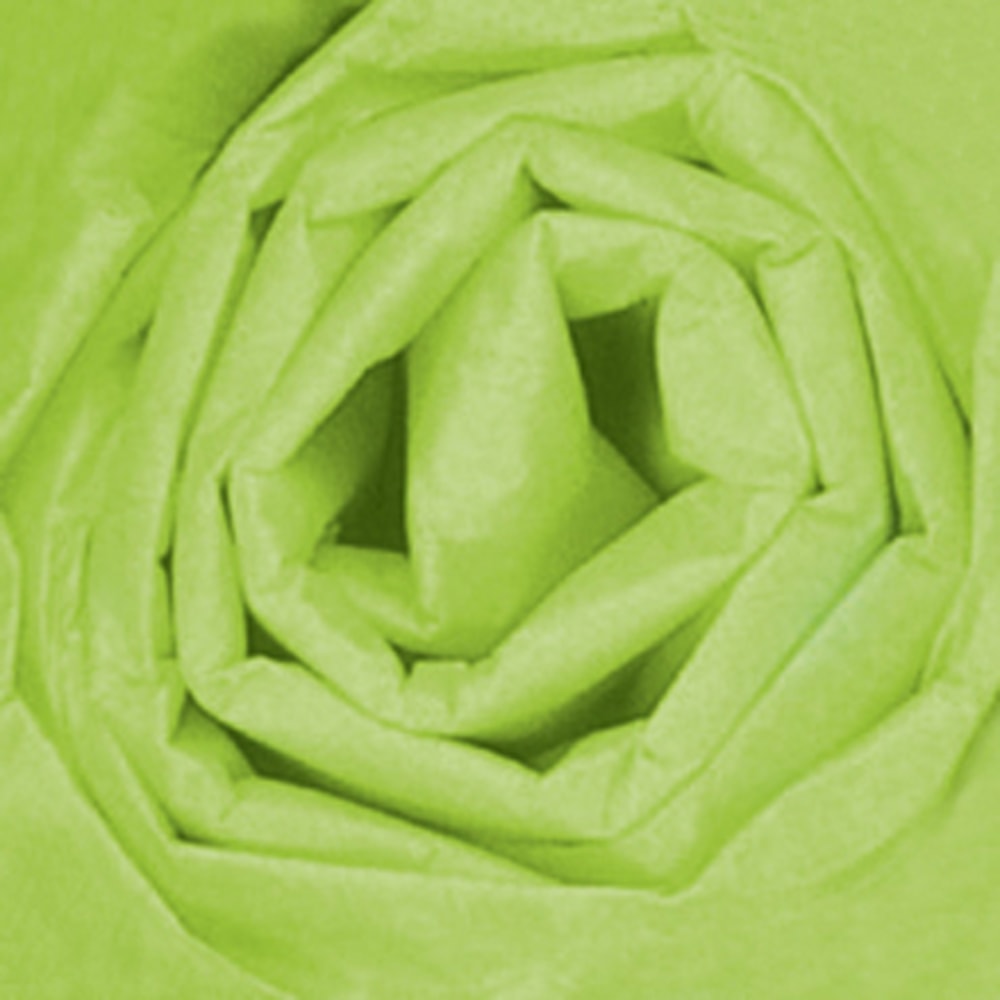 Partners Brand Citrus Green Gift Grade Tissue PaPer Sheets, 20in x 30in, 480 Sheets MPN:T2030N