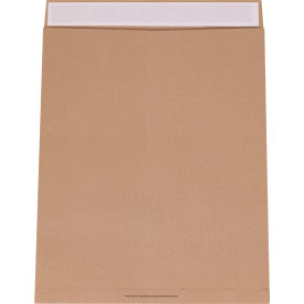 TerraBoard™ Jumbo Mailer 19