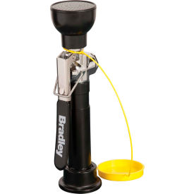 Bradley® Deck-Mounted Hand-Held Hose Spray - S19-460 S19-460