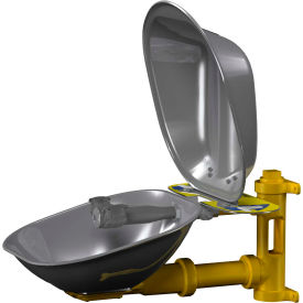 Bradley® Eyewash SS Bowl & Dust Cover - S19224DC S19224DC