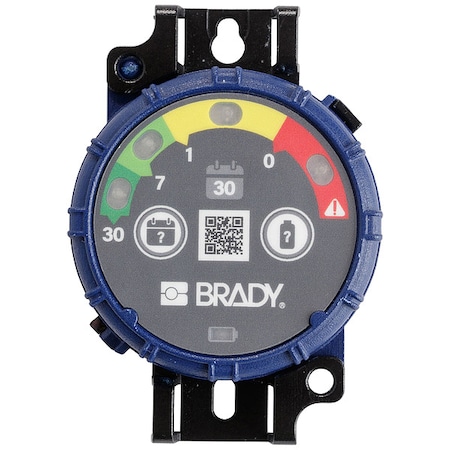 Inspection Timer, 30 day, PK10 MPN:150741