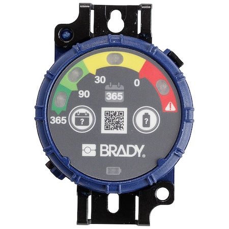 Inspection Timer, 365 day, PK10 MPN:150744