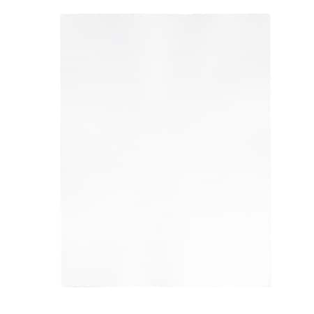 Precut Label Sheet, White, Vinyl, PK50 MPN:151578