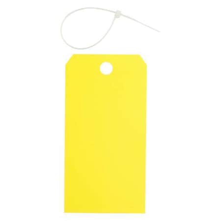 Blank Shipping Tag, Polyester, 5-3/4