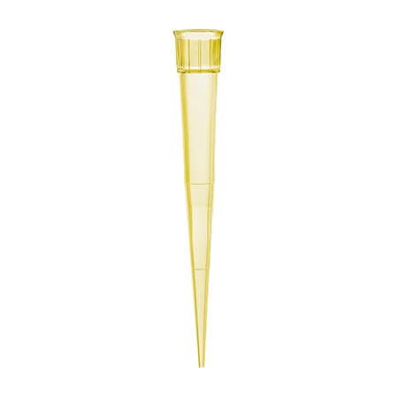 BRAND Ultra Micro Pipet Tips, Natural, TipBox, Non-sterile, 0.5, PK480 MPN:732204