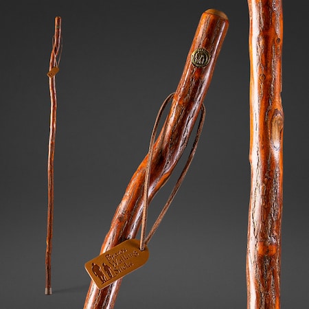 Walking Stick, Free-Form, Sassafras, 55