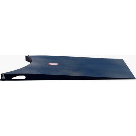 Brecknell Ramp For 4'x4' DCSB Floor Scale 36