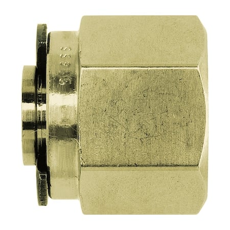 Plug, Brass, Tube 1/8 in MPN:N0304-02-B