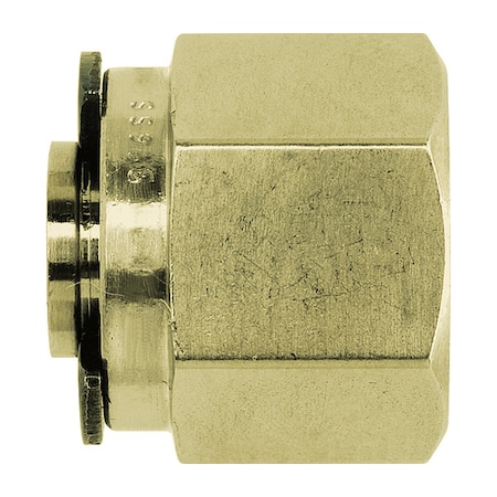 Plug, Brass, Tube 1 in MPN:N0304-16-B