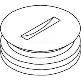 Wiremold 825a-1/2 Floor Box 800 Series Abandon Plug Brass 1/2