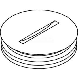 Wiremold 825a Floor Box 800 Series Abandon Plug Brass 2-1/4