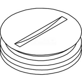 Wiremold 825a-3/4 Floor Box 800 Series Abandon Plug Brass 3/4