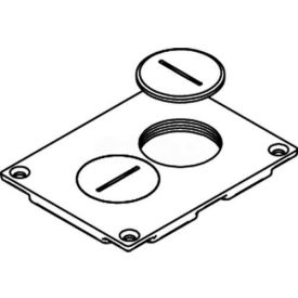 Wiremold 828sptc Floor Box Duplex Receptacle Cover W/Screw Plugs Brass 828SPTC* - Pkg Qty 10