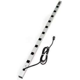 Wiremold 4810BCS CabinetMATE Surge Strip 600V 15A 10 Outlets 4810BCS*