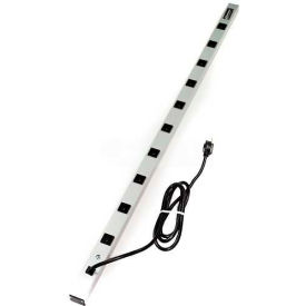 Wiremold 4810BDS CabinetMATE Surge Strip 600V 15A 10 Outlets 4810BDS*