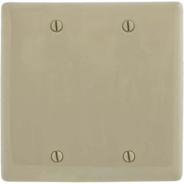Wall Plates, Wall Plate Type: Blank Wall Plate , Color: Ivory , Wall Plate Configuration: Blank , Material: Thermoplastic , Shape: Rectangle  MPN:P23I