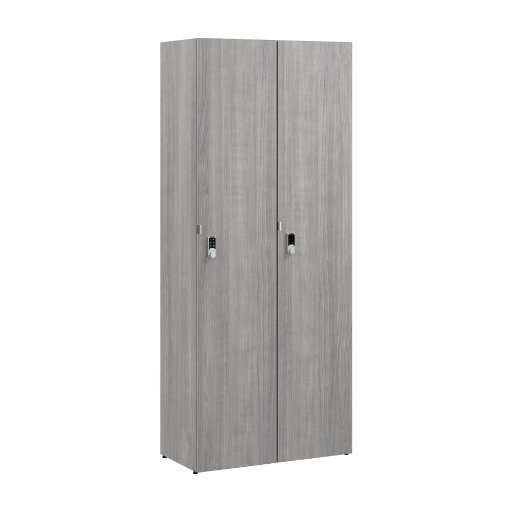 Bush Business Furniture Assure Single Tier 2 Door Storage Locker with Keypad Locks, Platinum Gray, Standard Delivery MPN:AUS230PGK