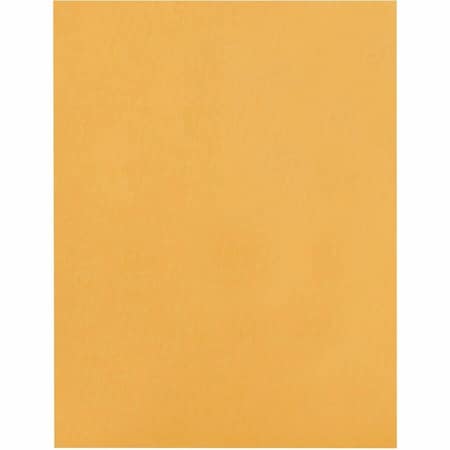 Filing Envelope, Brown, Kraft, PK100 MPN:BSN36664