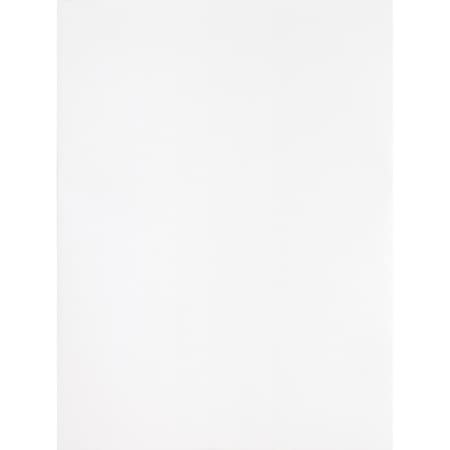 Filing Envelope, White, Wove, PK100 MPN:BSN65450