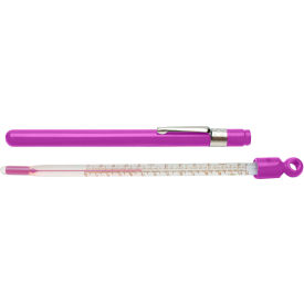 H-B DURAC Plus Pocket Liquid-In-Glass Thermometer -10 to 110C (0 to 220F) Closed Plastic Case 607701100