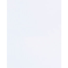 GoVets™ Flat Polypropylene Bags 14