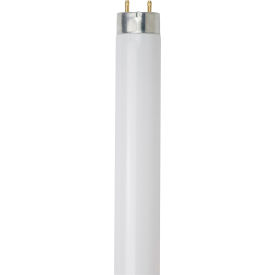 Sunlite® T8 Fluorescent Bulb G13 Base 25W 2300 Lumens 6500K Daylight Pack of 30 30159-SU