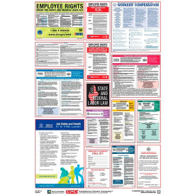 Labor Law Poster - Minnesota PPG300MN