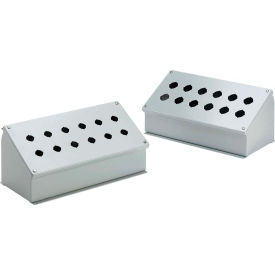 Hoffman E20PBA Push Button Encl Sloped Front 20Pb X 30.5Mm E20PBA