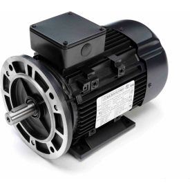 Marathon General Purpose IEC Motor 2 HP 1745 RPM 230/460V TEFC 90L Frame R398A