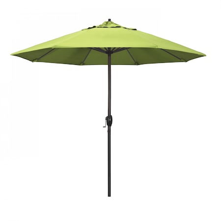 Patio Umbrella, Octagon, 102