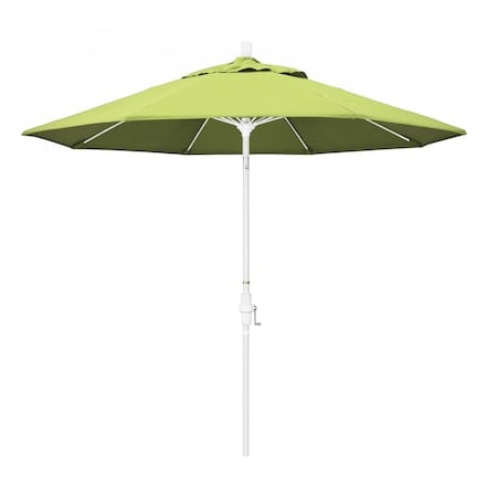 Patio Umbrella, Octagon, 101
