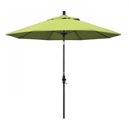 Patio Umbrella, Octagon, 101